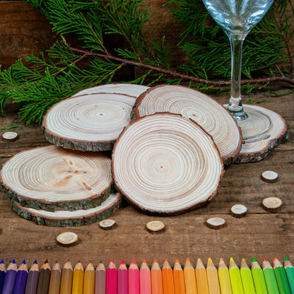 8 - 10 cm Wood slices (Pack of 10)