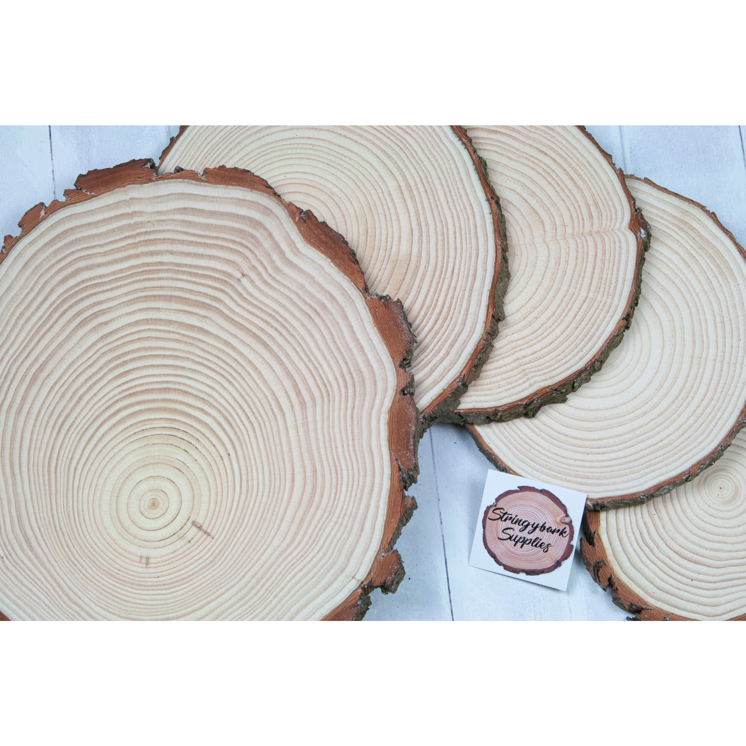 3 to 3.5 top In Dia-125 Wood Slices-For Engravers-Wood Burners-Low Blemish Tree Slices-Dried-Sanded-Nice Bark Attachment-Professional Quality