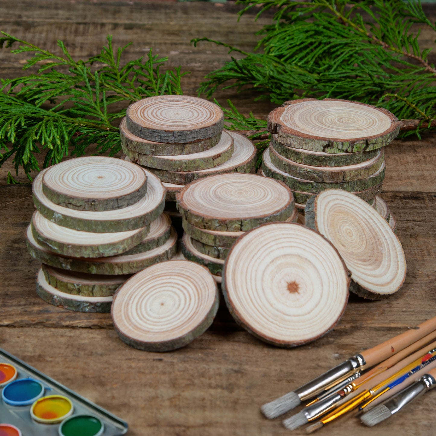 6 - 8 cm Wood slices (Pack of 10)