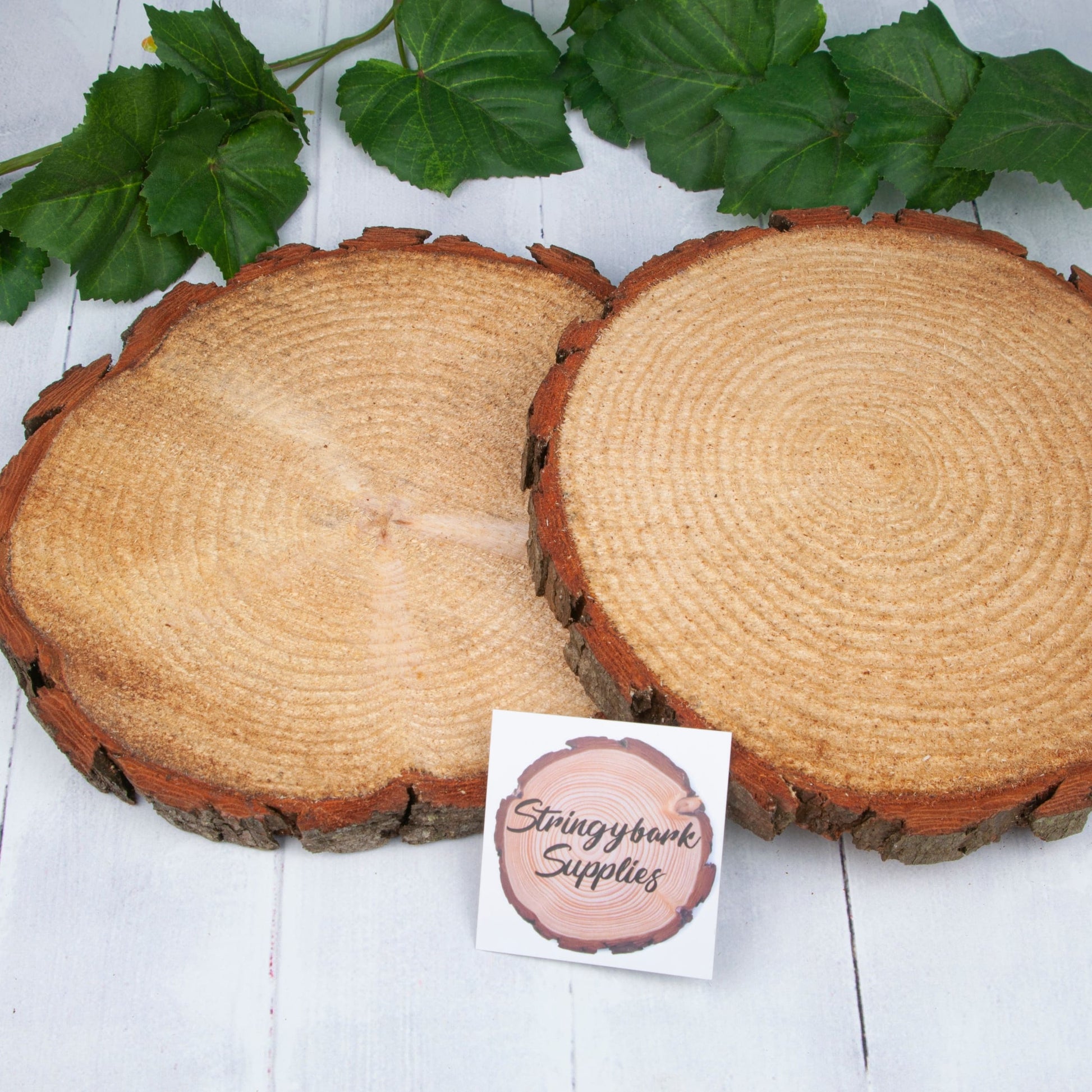 Rustic Wedding Centerpiece - Round Tree Bark Slice Natural Wood